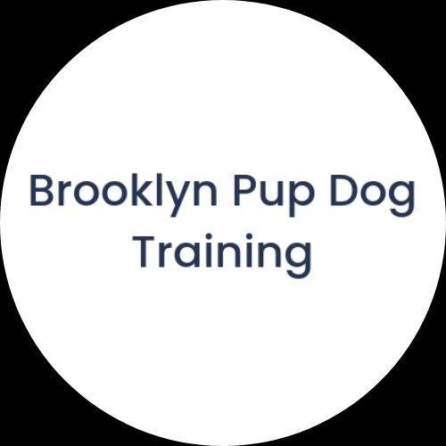 Training Brooklyn Pup